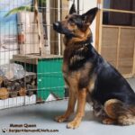 Queen Berger allemand